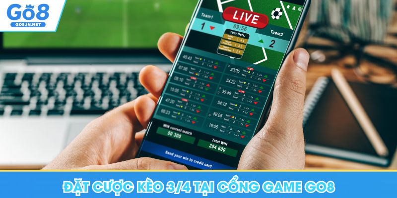 Thể thao GO8 – Hướng dẫn đọc tỷ lệ và thị trường 7 Đặt cược kèo 3/4 tại cổng game Go8